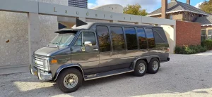 Kleine grijze rouwbus - foto 3